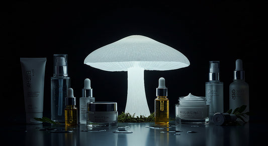 Mushroom surrounded by skincare products representing mushroom extract benefits.