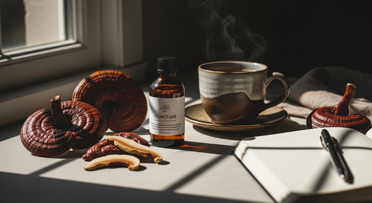 Reishi tincture and mushrooms representing long term stress management