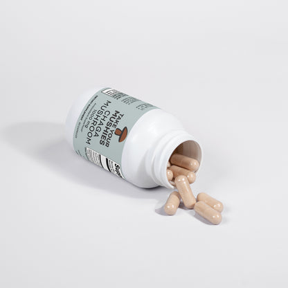 Bottle of chaga mushroom daily capsules spilling out on a white background